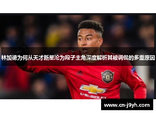 林加德为何从天才新星沦为段子主角深度解析其被调侃的多重原因